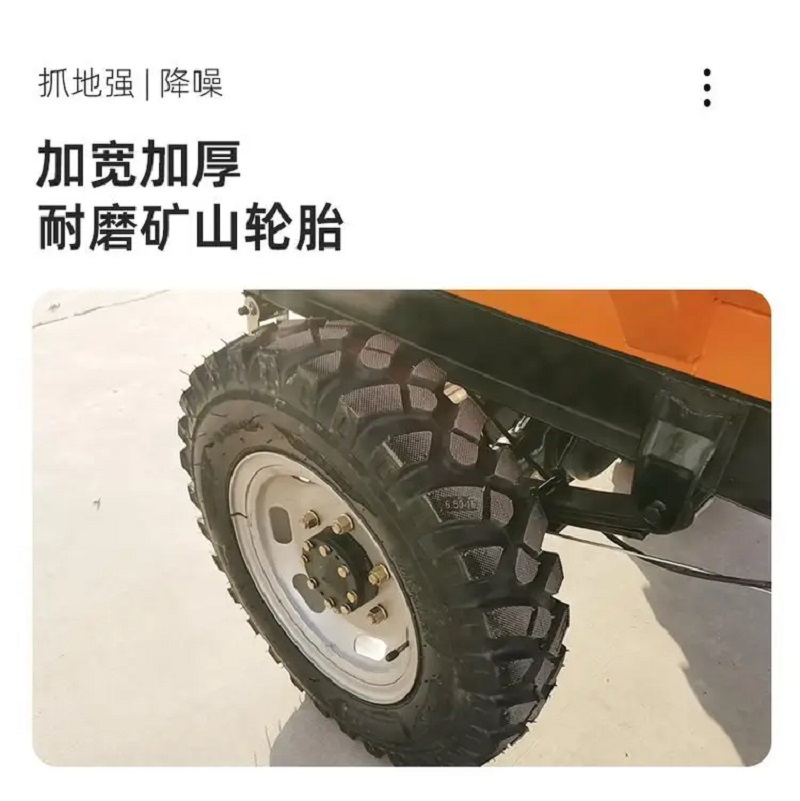 C02A.jpg